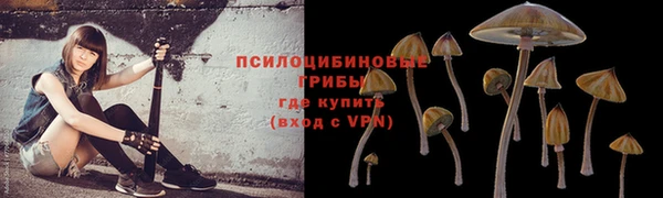 ALPHA-PVP Армянск