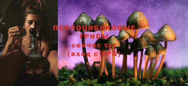 ALPHA-PVP Армянск
